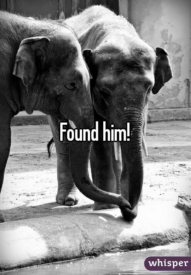 Found him!