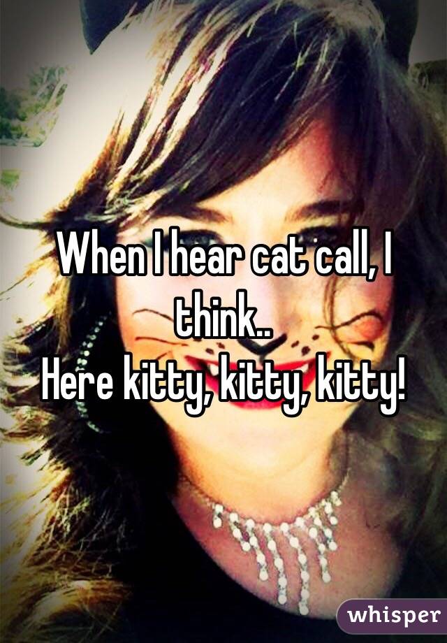 When I hear cat call, I think..
Here kitty, kitty, kitty!
