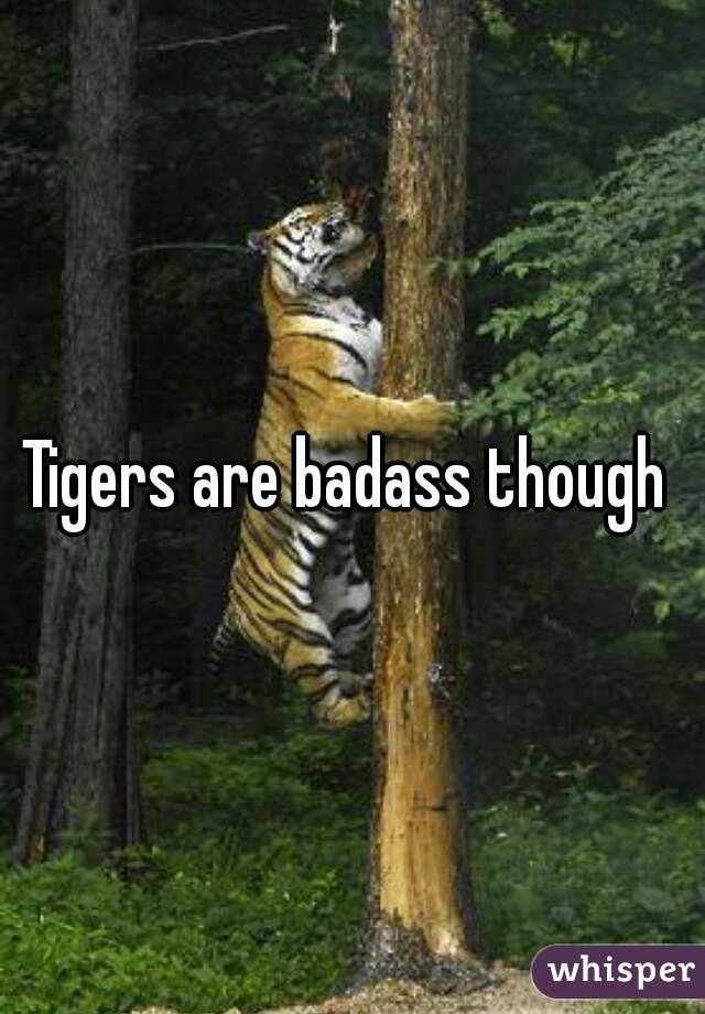 Tigers are badass though 