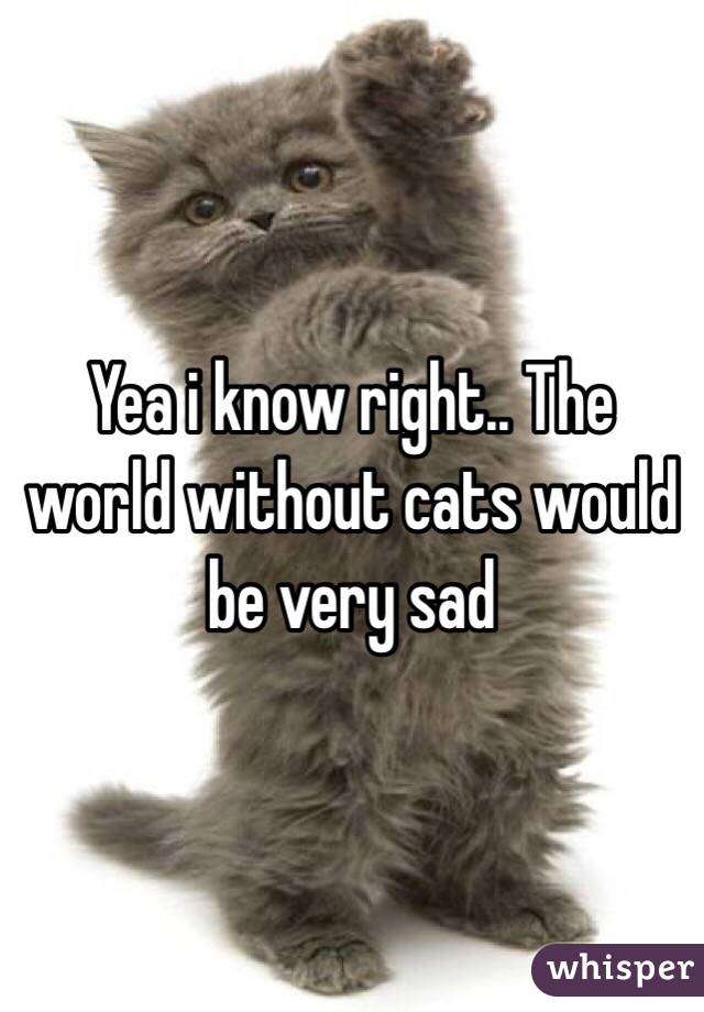 Yea i know right.. The world without cats would be very sad 