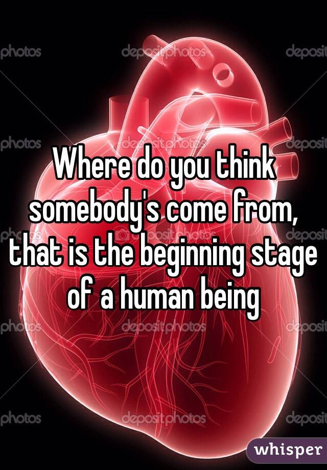 Where do you think somebody's come from, that is the beginning stage of a human being