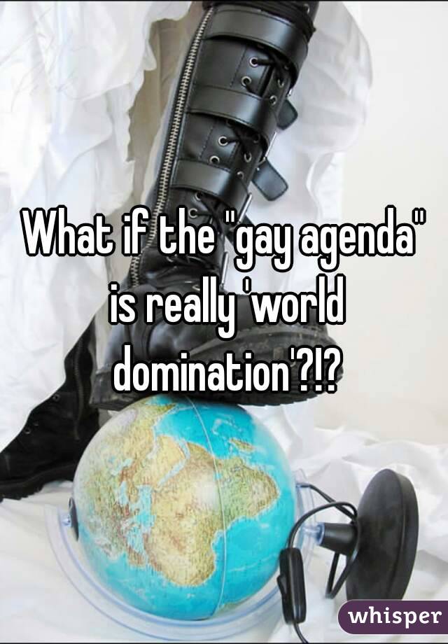 What if the "gay agenda" is really 'world domination'?!?