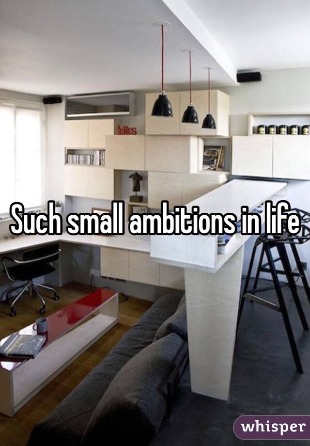 Such small ambitions in life 