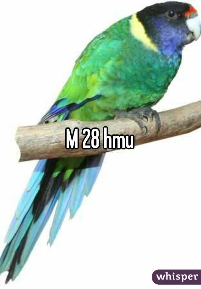 M 28 hmu