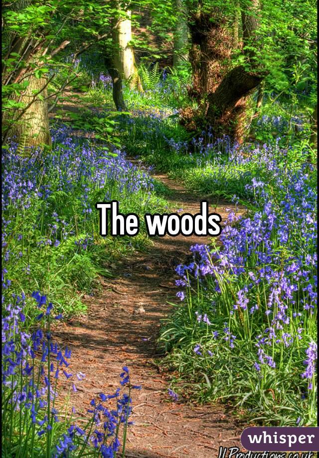 The woods