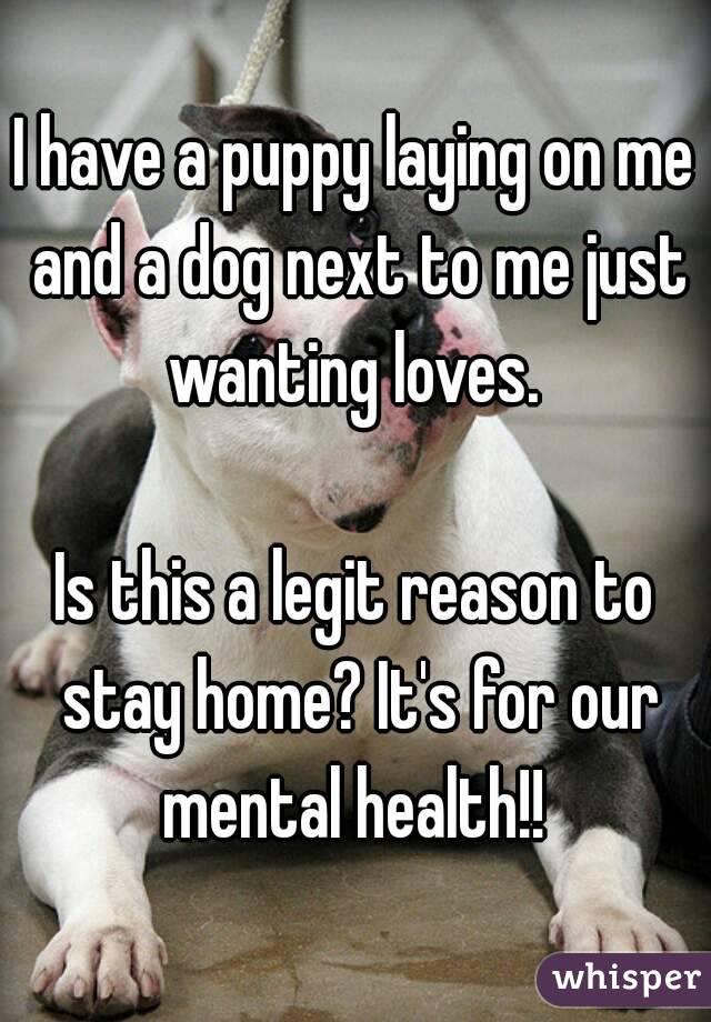 I have a puppy laying on me and a dog next to me just wanting loves. 

Is this a legit reason to stay home? It's for our mental health!! 