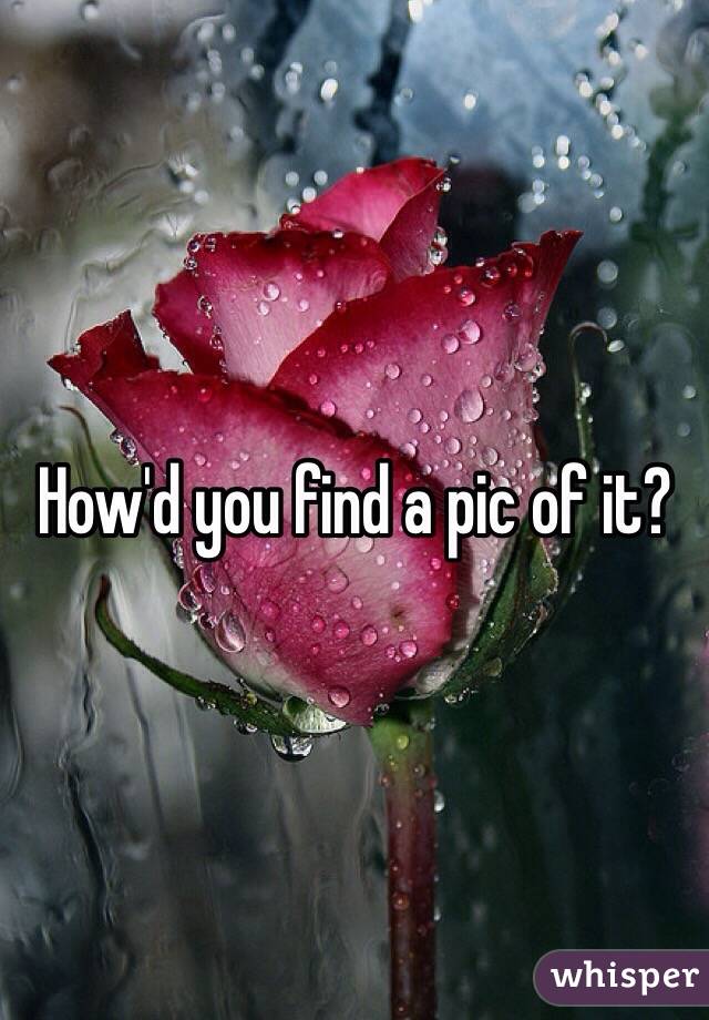 How'd you find a pic of it?