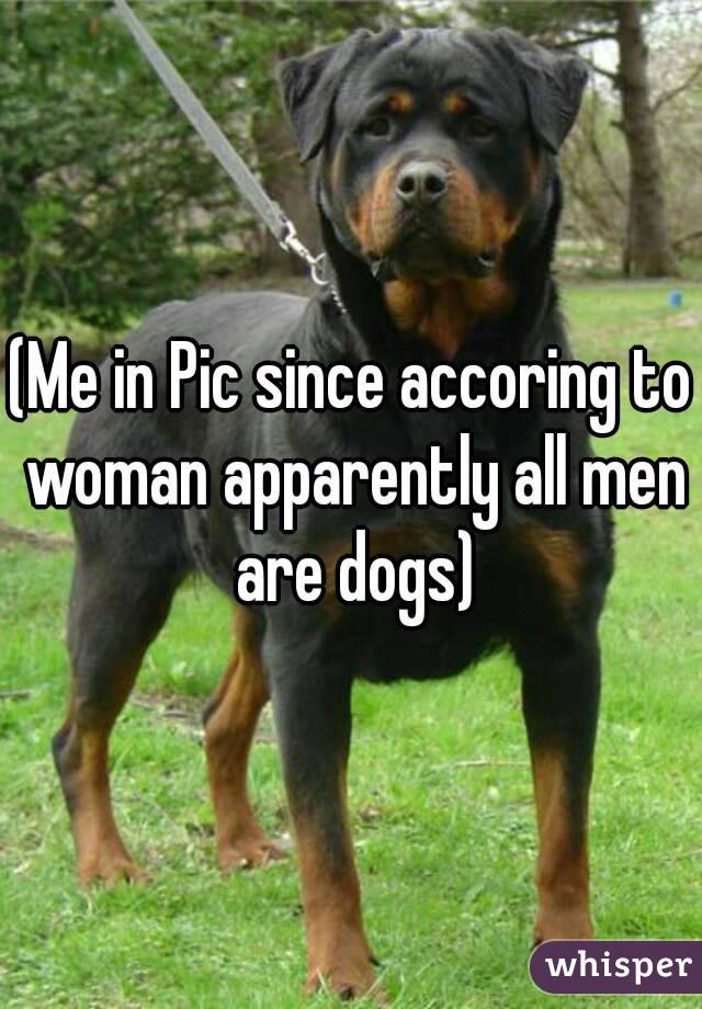 (Me in Pic since accoring to woman apparently all men are dogs)
