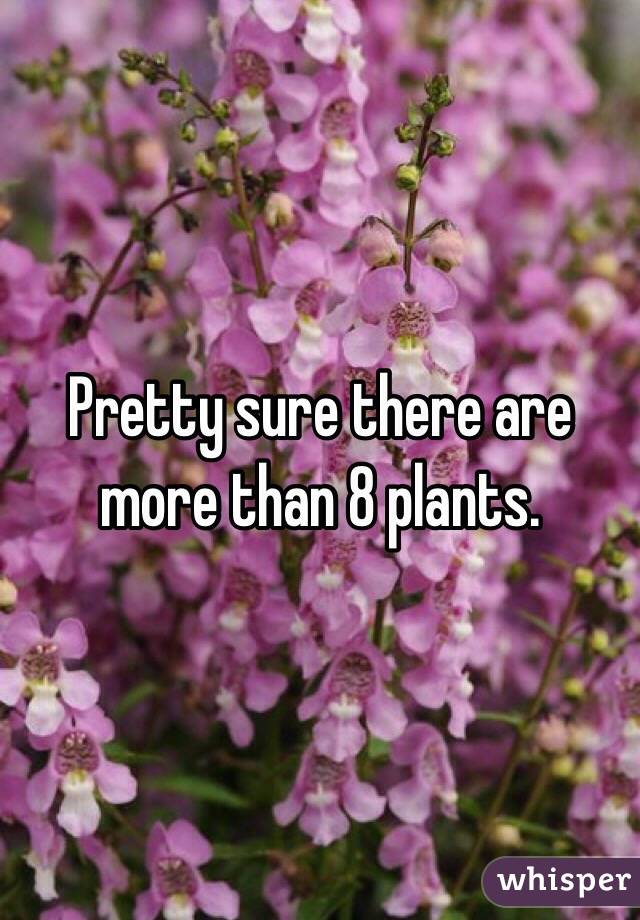 Pretty sure there are more than 8 plants. 