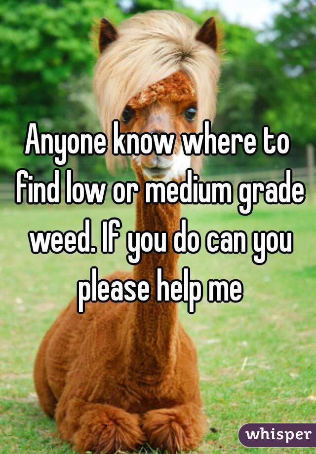 Anyone know where to find low or medium grade weed. If you do can you please help me