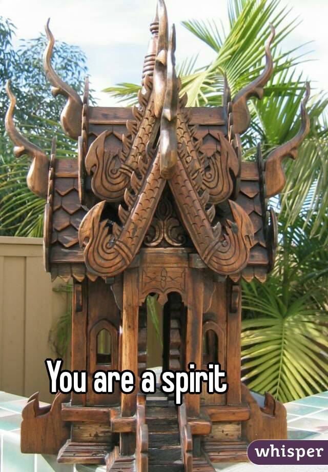 You are a spirit 