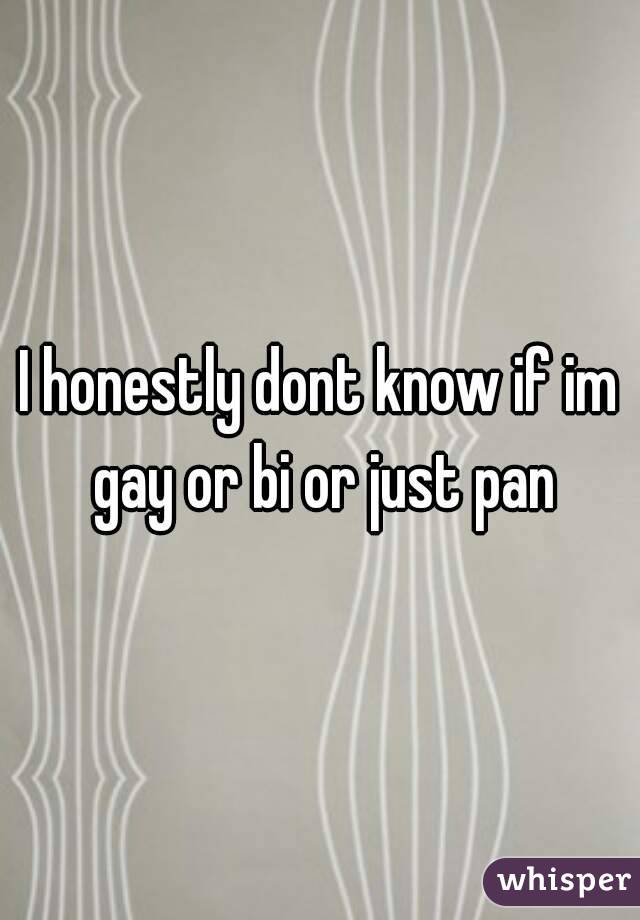I honestly dont know if im gay or bi or just pan