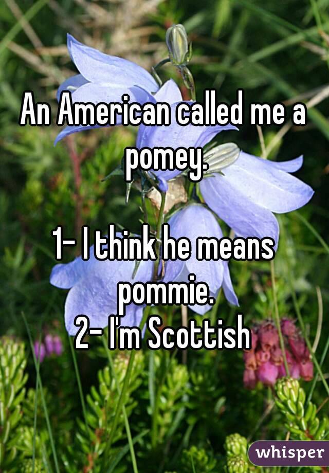 An American called me a pomey.

1- I think he means pommie.
2- I'm Scottish