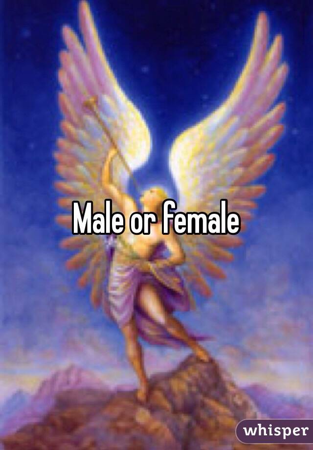 male-or-female