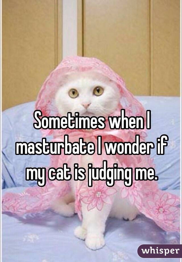 Sometimes when I masturbate I wonder if my cat is judging me.