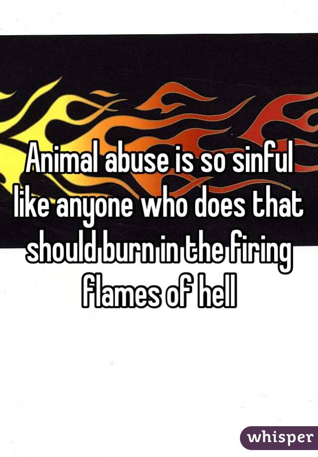 Animal abuse is so sinful like anyone who does that should burn in the firing flames of hell