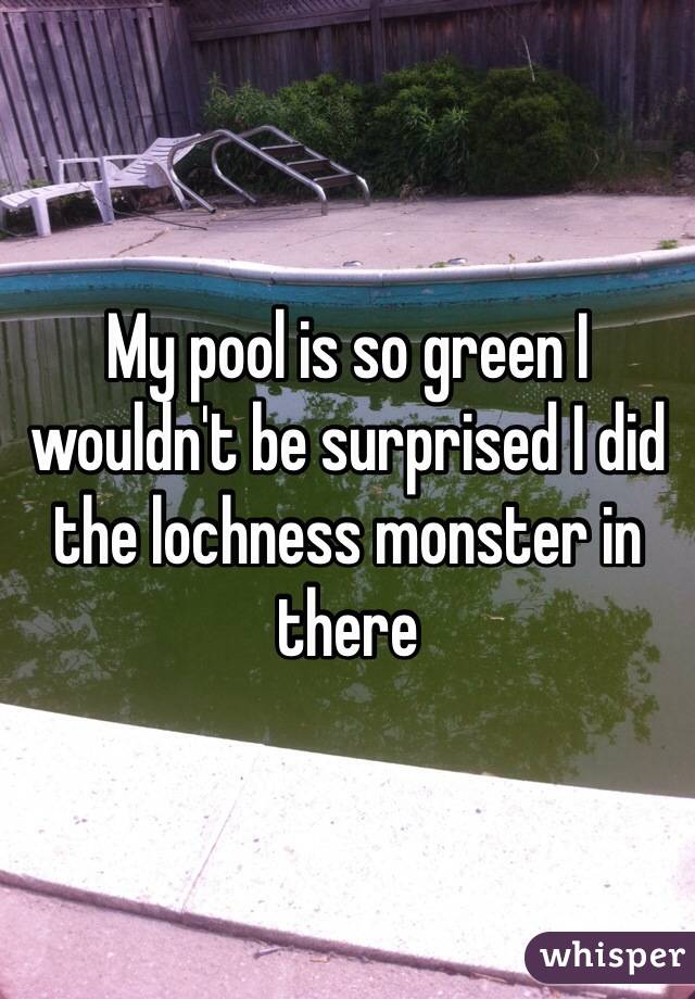 My pool is so green I wouldn't be surprised I did the lochness monster in there
