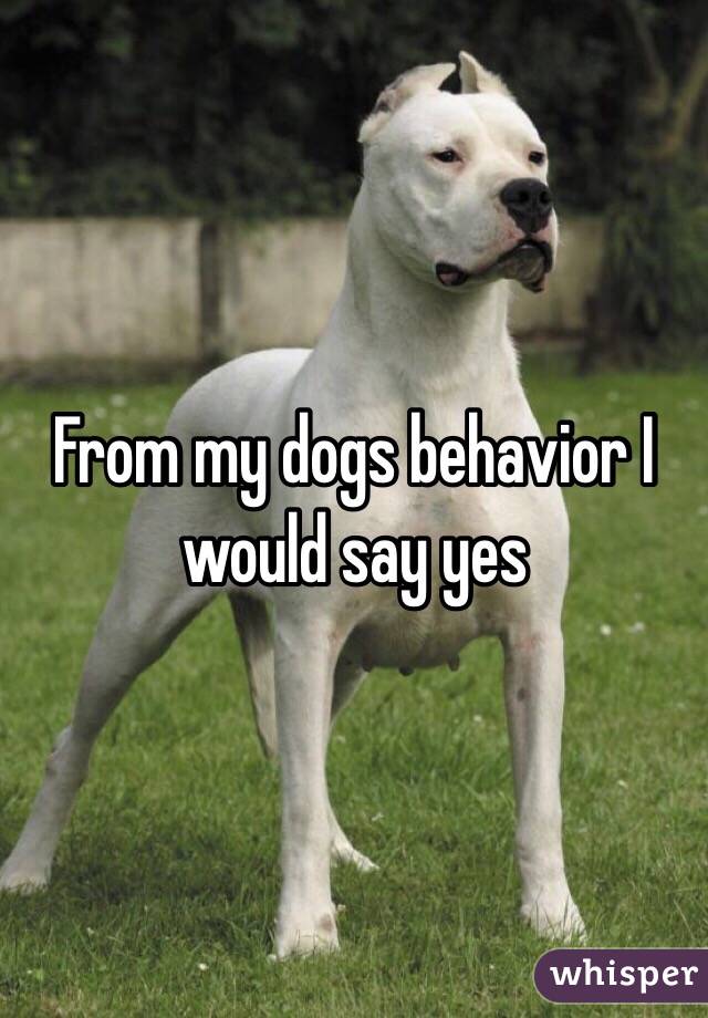 From my dogs behavior I would say yes