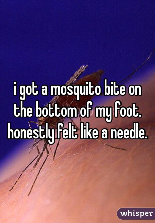 i got a mosquito bite on the bottom of my foot. honestly felt like a needle. 