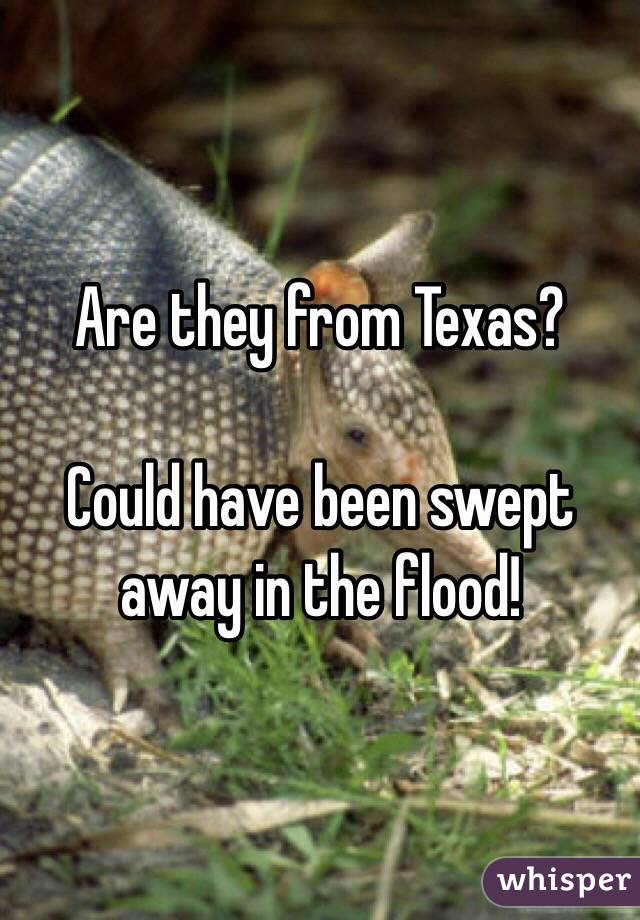 Are they from Texas?

Could have been swept away in the flood!