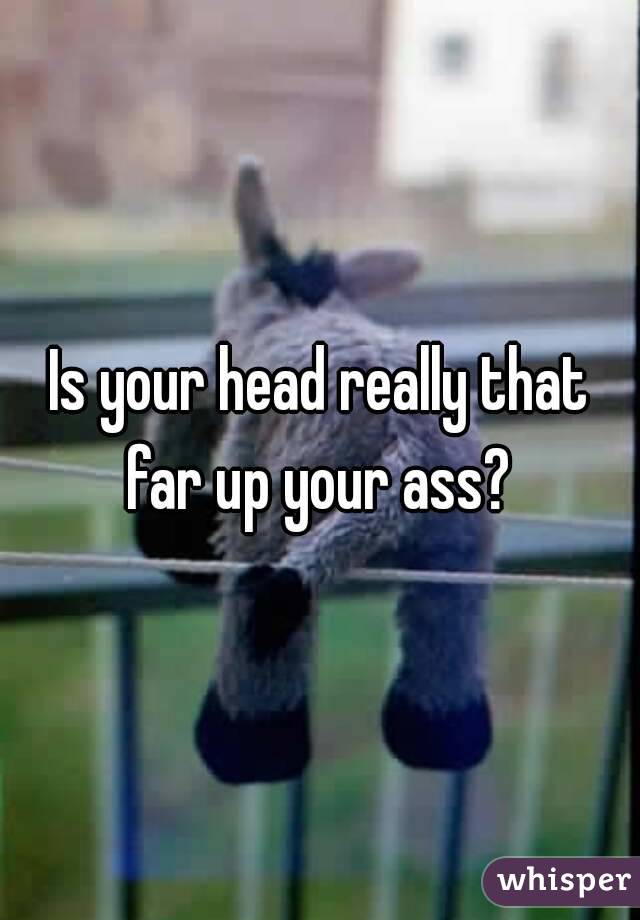 Is your head really that far up your ass? 