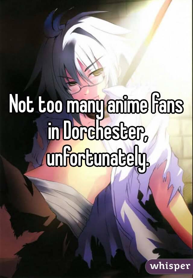 Not too many anime fans in Dorchester, unfortunately.