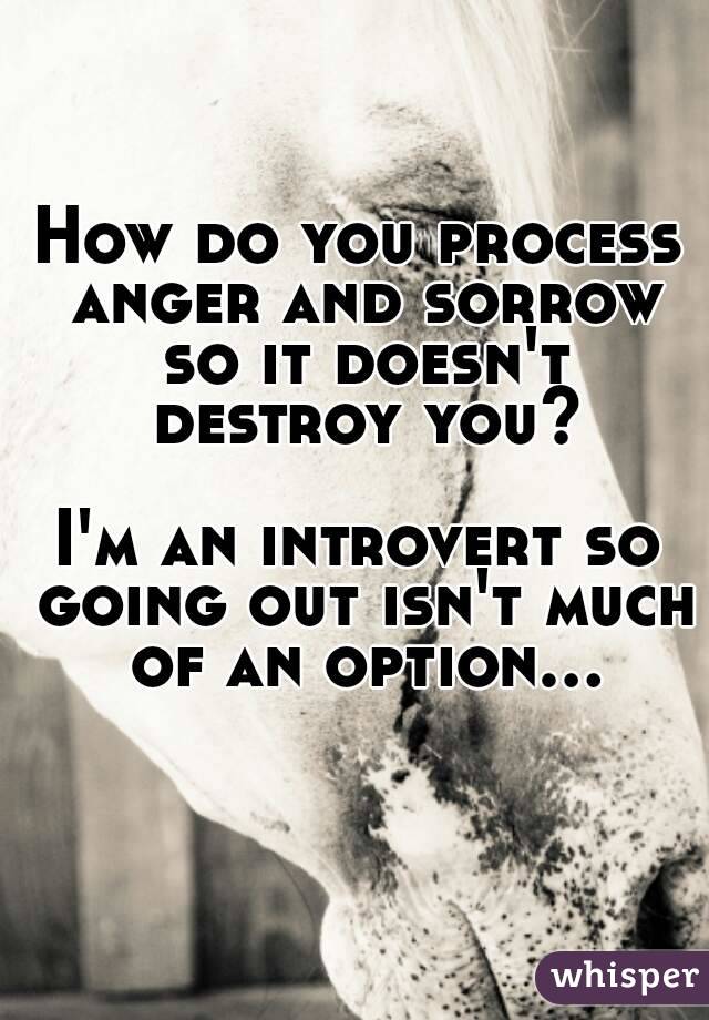 How do you process anger and sorrow so it doesn't destroy you?

I'm an introvert so going out isn't much of an option...