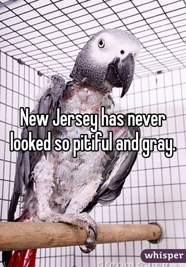 New Jersey has never looked so pitiful and gray. 