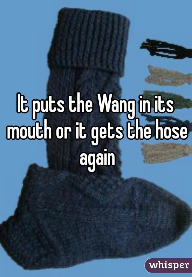It puts the Wang in its mouth or it gets the hose again