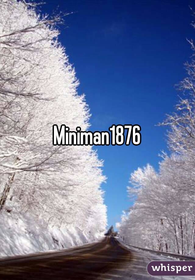Miniman1876