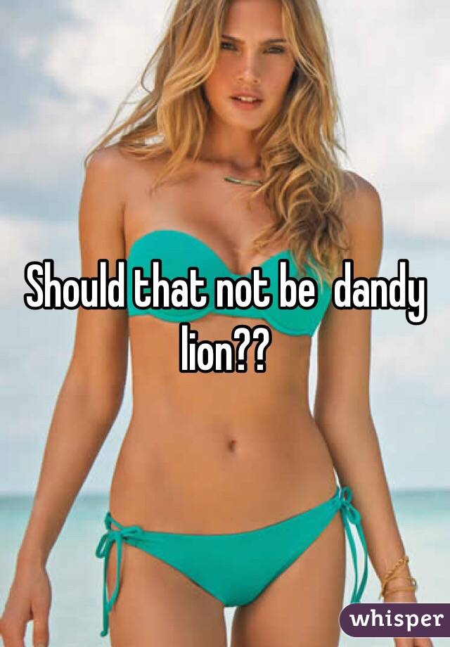 Should that not be  dandy lion??