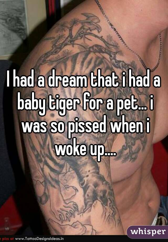 I had a dream that i had a baby tiger for a pet... i was so pissed when i woke up....