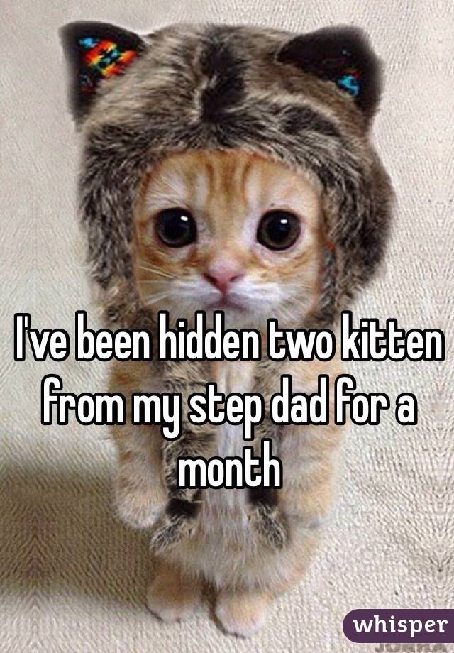 I've been hidden two kitten from my step dad for a month