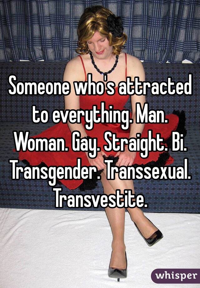 Someone who's attracted to everything. Man. Woman. Gay. Straight. Bi. Transgender. Transsexual. Transvestite. 