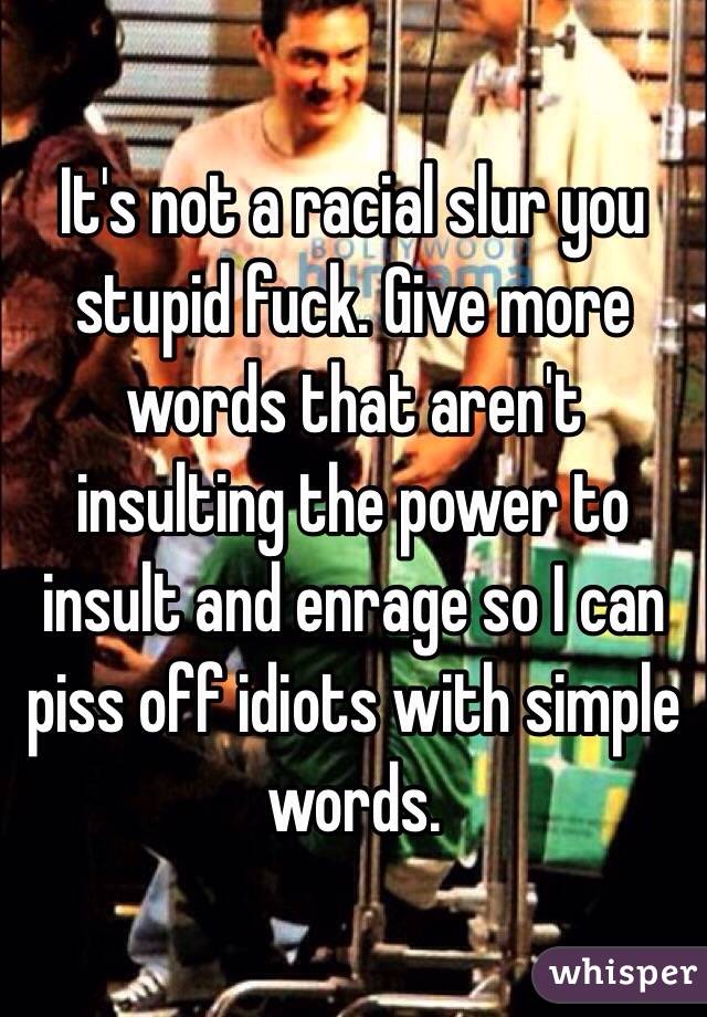 It's not a racial slur you stupid fuck. Give more words that aren't insulting the power to insult and enrage so I can piss off idiots with simple words. 