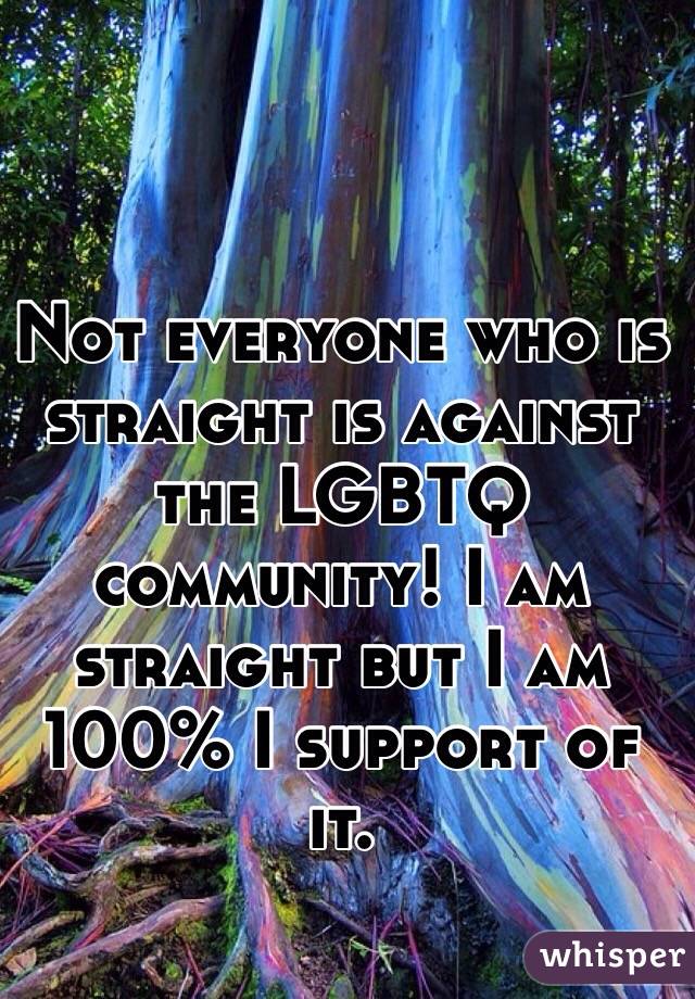 Not everyone who is straight is against the LGBTQ community! I am straight but I am 100% I support of it. 