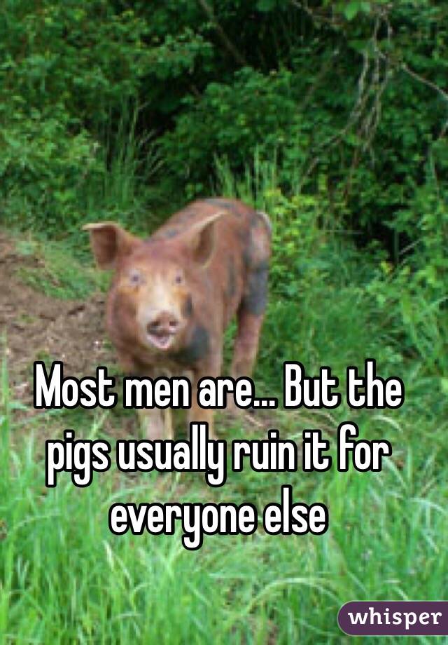 Most men are... But the pigs usually ruin it for everyone else