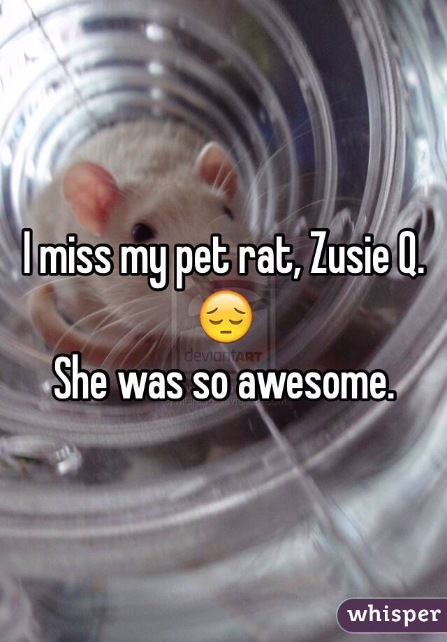 I miss my pet rat, Zusie Q. 😔
She was so awesome.