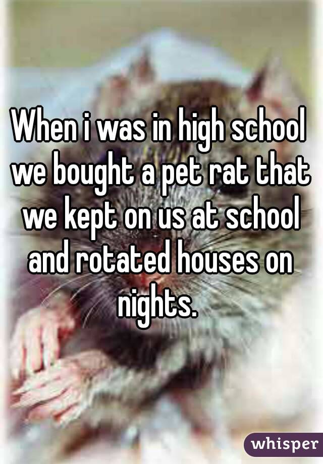 When i was in high school we bought a pet rat that we kept on us at school and rotated houses on nights. 