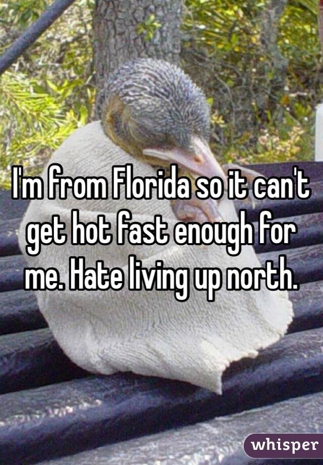 I'm from Florida so it can't get hot fast enough for me. Hate living up north.