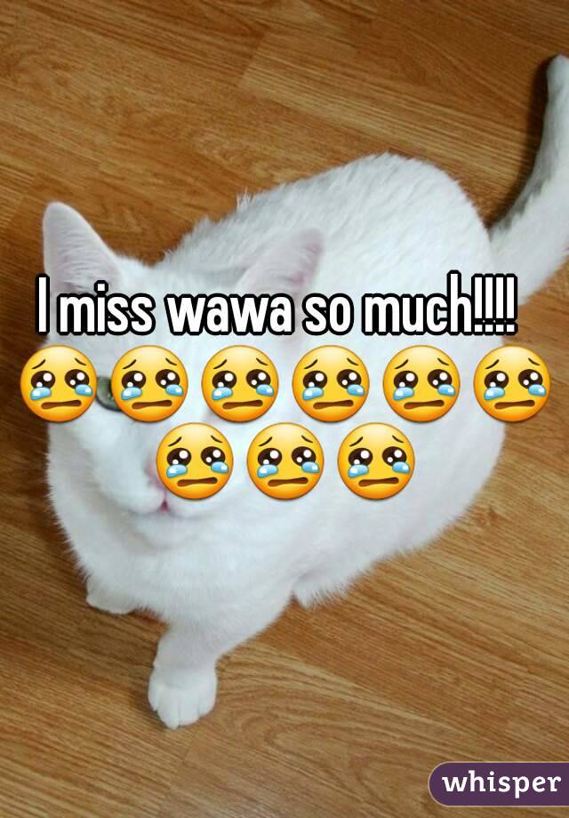 I miss wawa so much!!!! 
😢😢😢😢😢😢😢😢😢