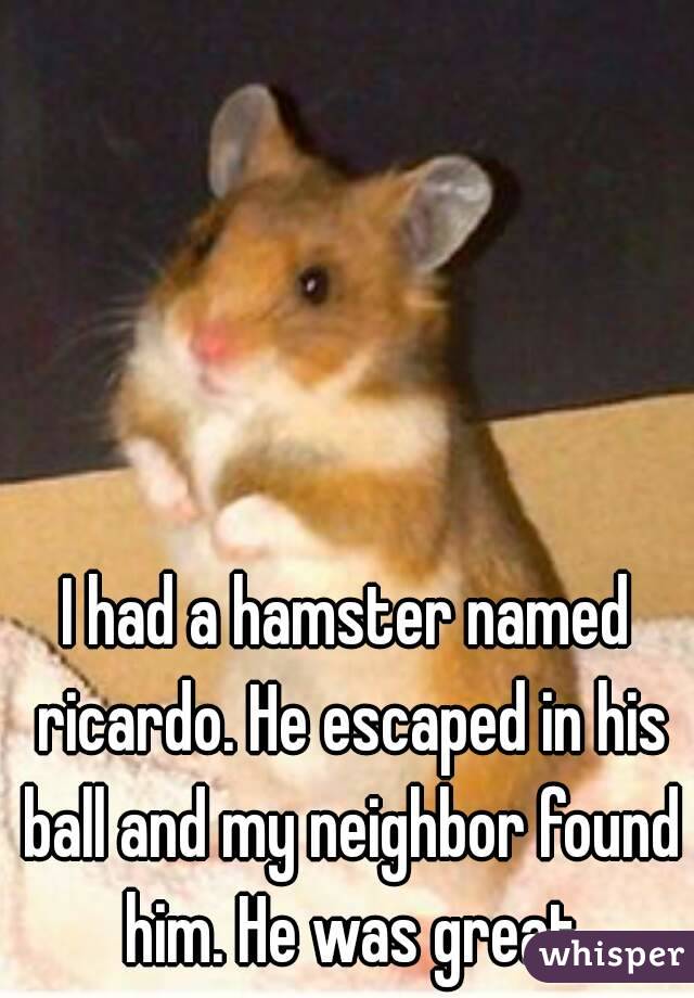 I had a hamster named ricardo. He escaped in his ball and my neighbor found him. He was great