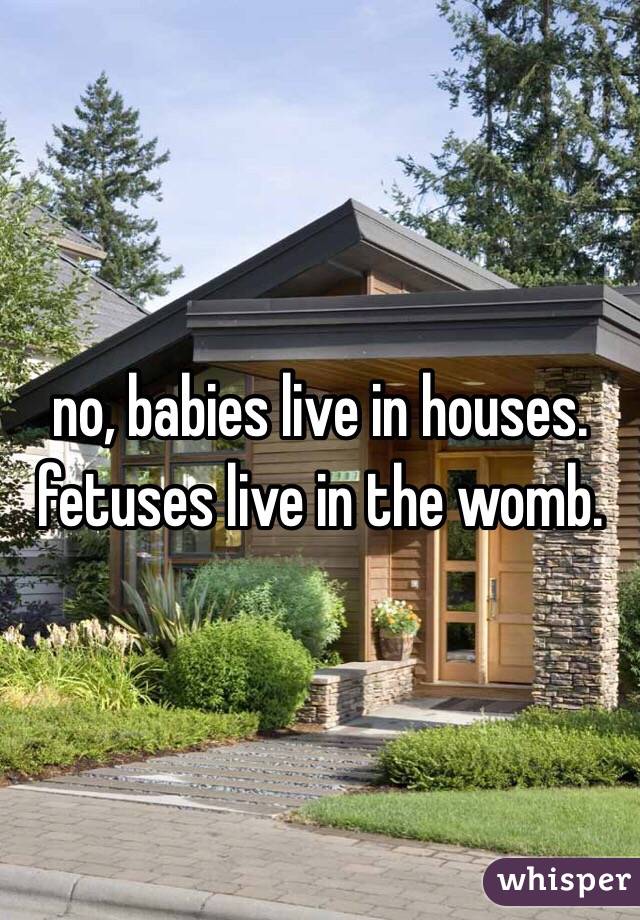 no, babies live in houses. fetuses live in the womb. 