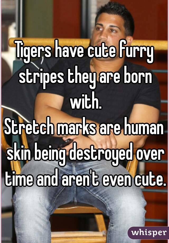 Tigers have cute furry stripes they are born with.
Stretch marks are human skin being destroyed over time and aren't even cute.