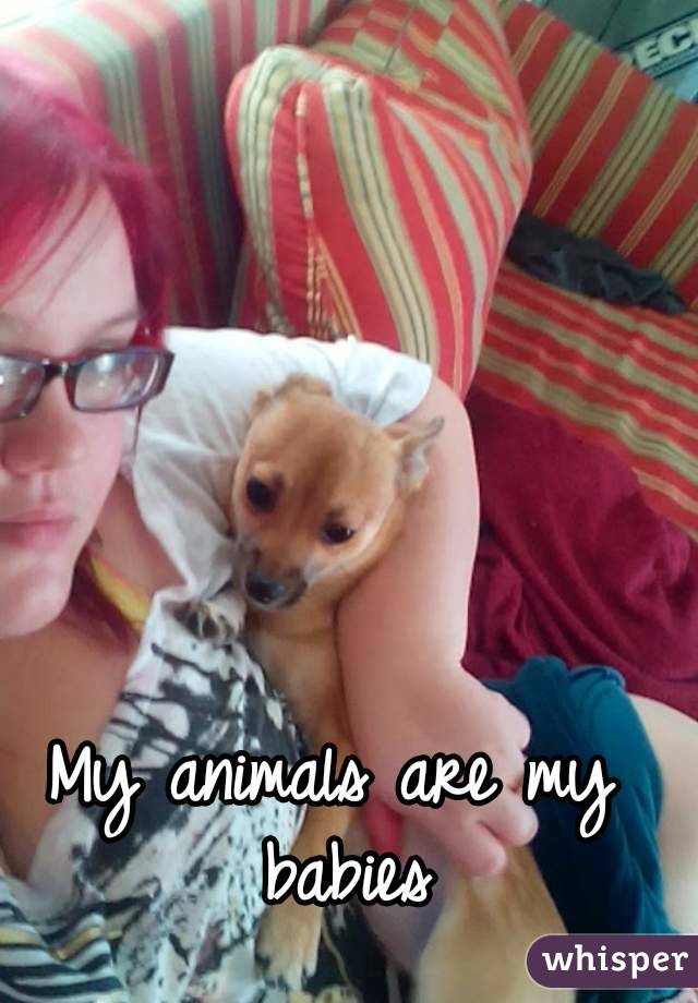 My animals are my babies
