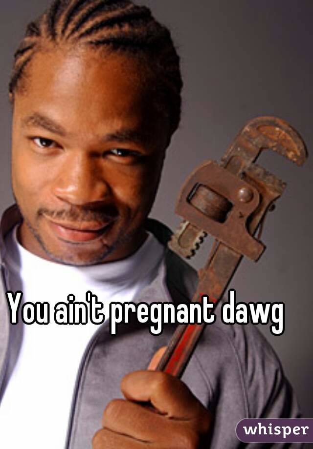 You ain't pregnant dawg