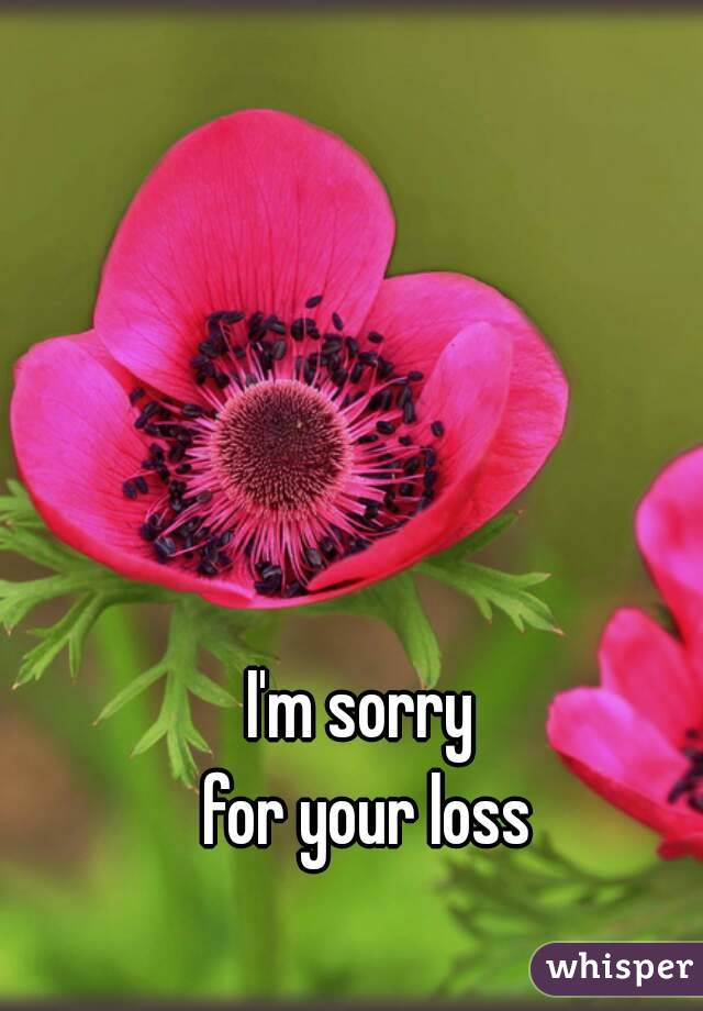 I'm sorry
 for your loss
