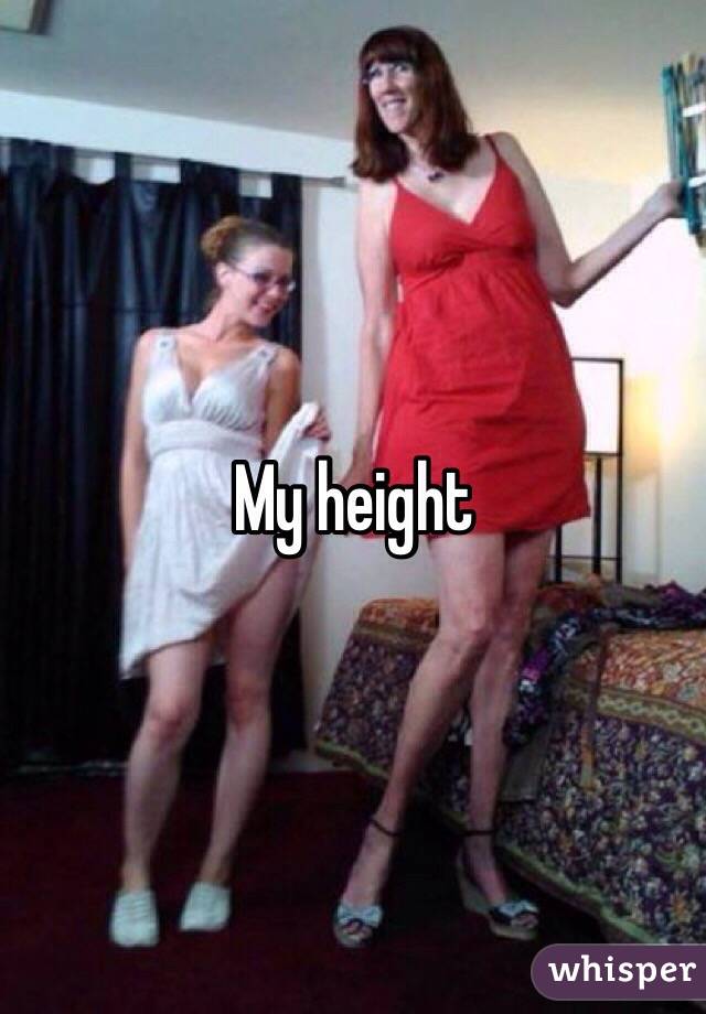 My height 