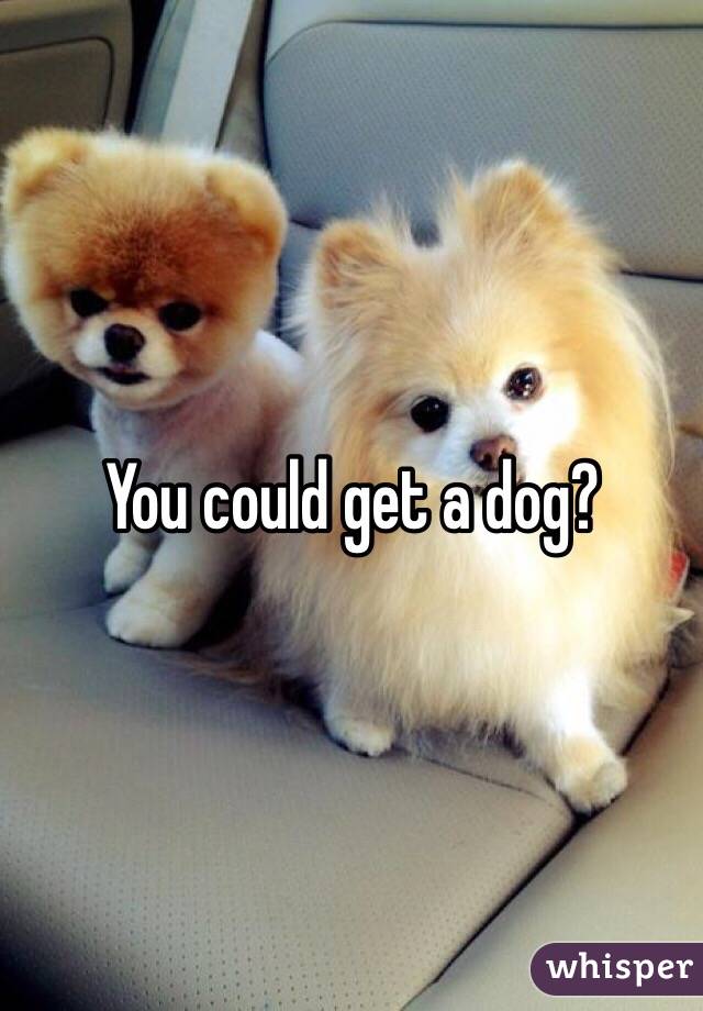 You could get a dog?