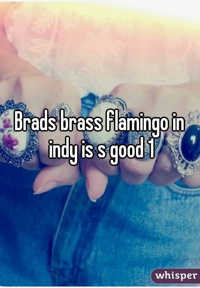 Brads brass flamingo in indy is s good 1